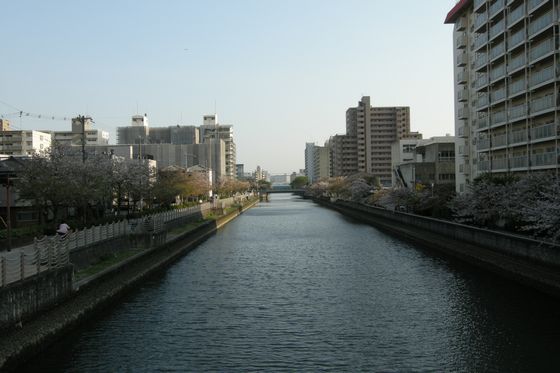 イメージ 9